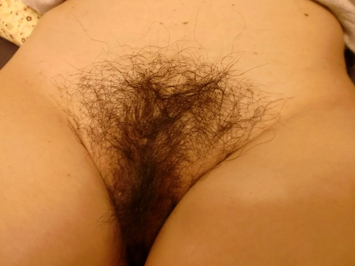 Japanese wife's dirty panties (38yo) image 31