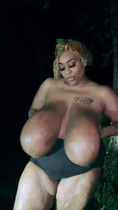 8fDVFlxdvgkjcwSr cover image