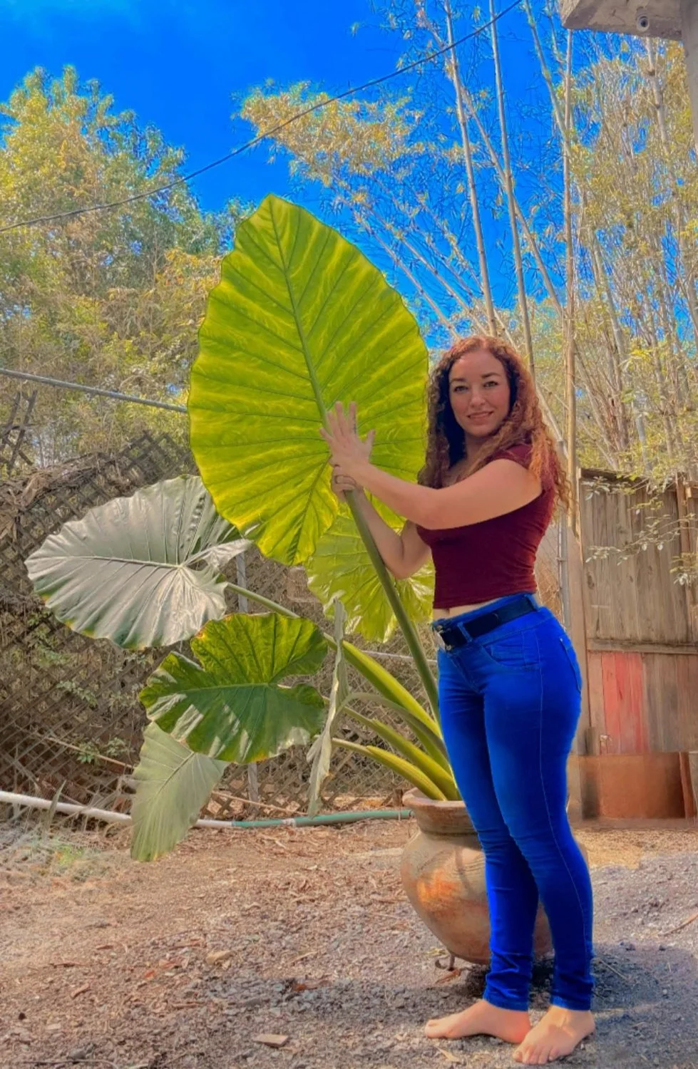 REGIA CULONA CADERONA , para llenarla de mecos image 33