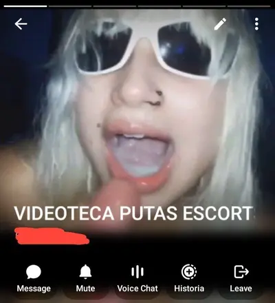 Escorts argentas, videos en grupo de telegram cover image