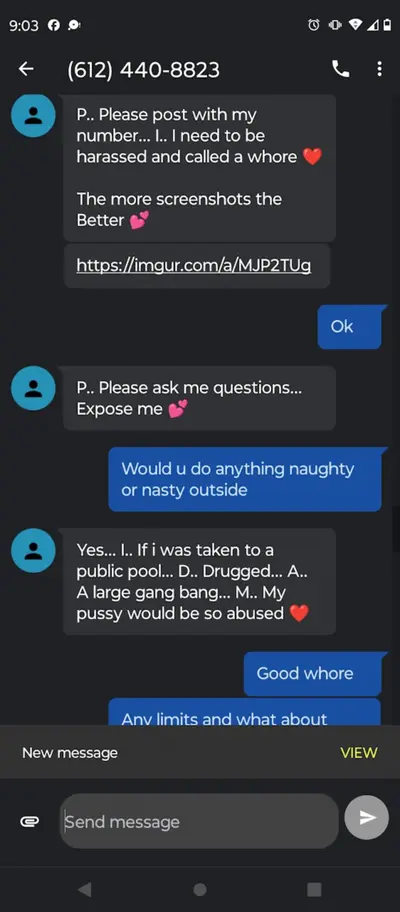 Went from giving 20$ for her to send nudes to begging to be blackmailed. She begged me to post this cover image