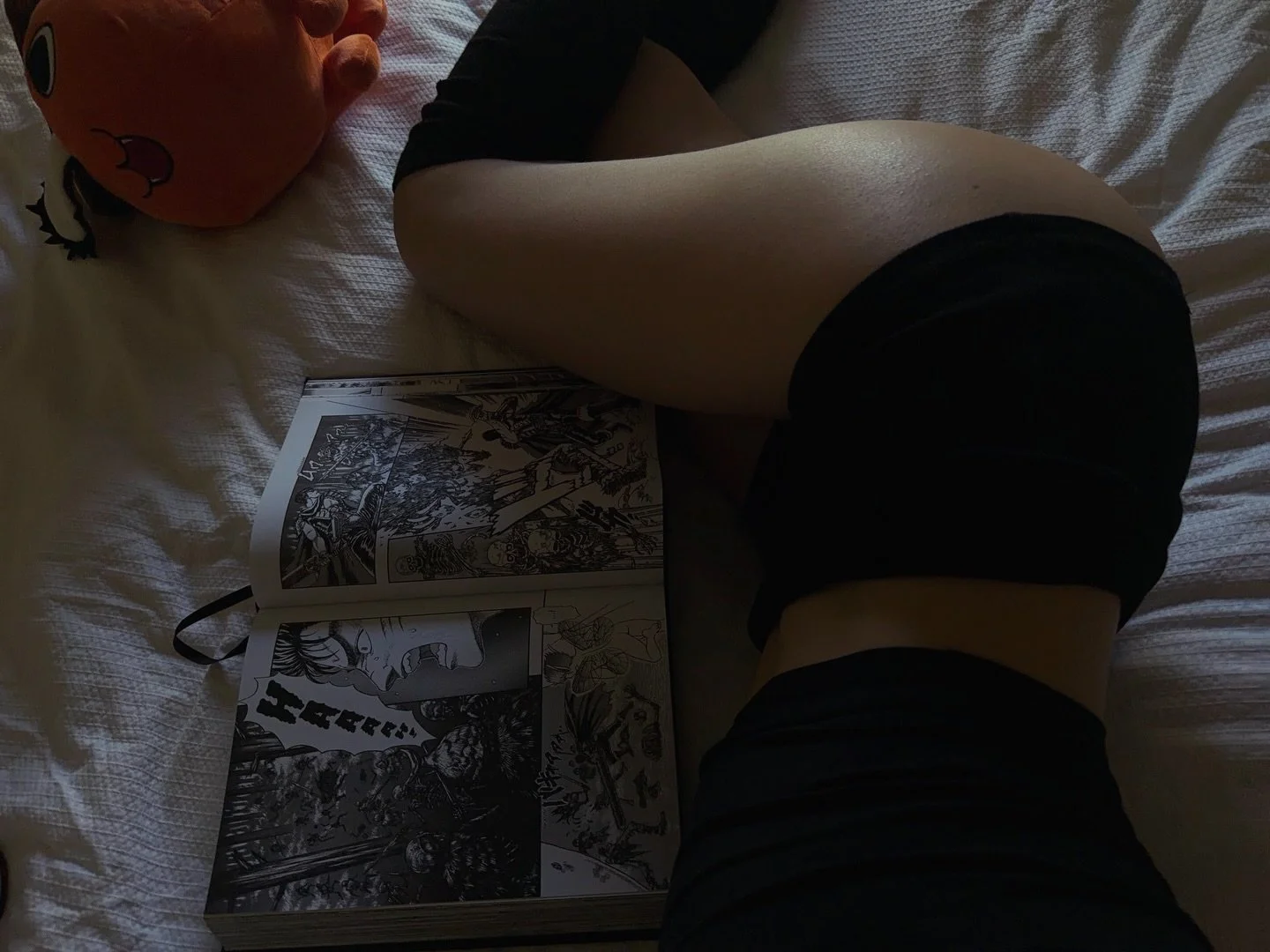 AT-59 image 17