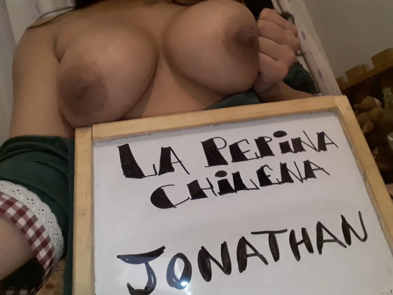 Fotos xxx LA PEPINA CHILENA MARIA CLARISA RAMIREZ PAREDES XXX image 16