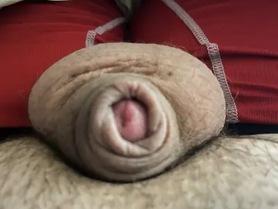 White micro penis,Humilation,SPH,Degradtion wanted cover image