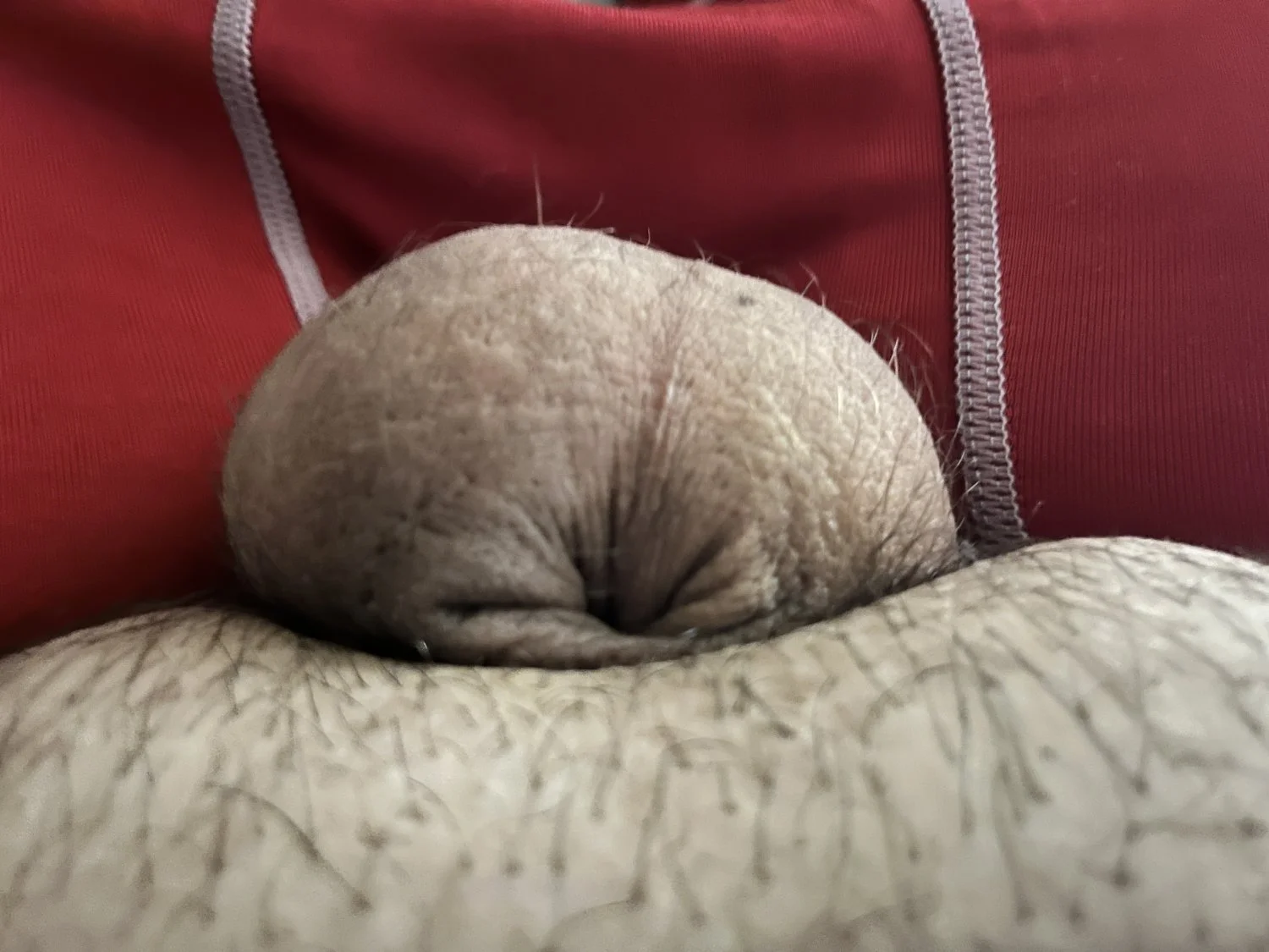 White micro penis,Humilation,SPH,Degradtion wanted image 3