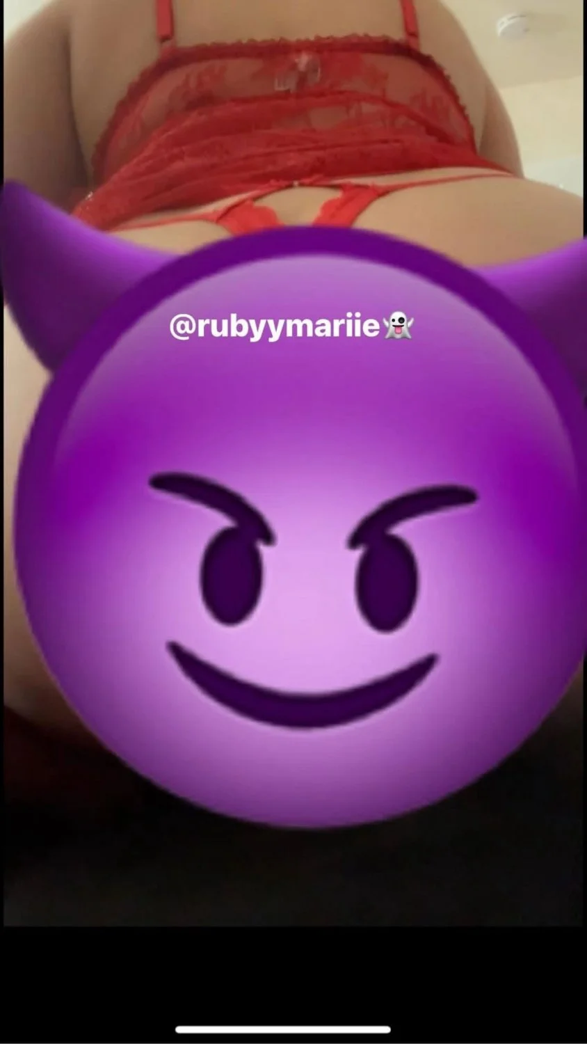 Mexican ruby rose image 25