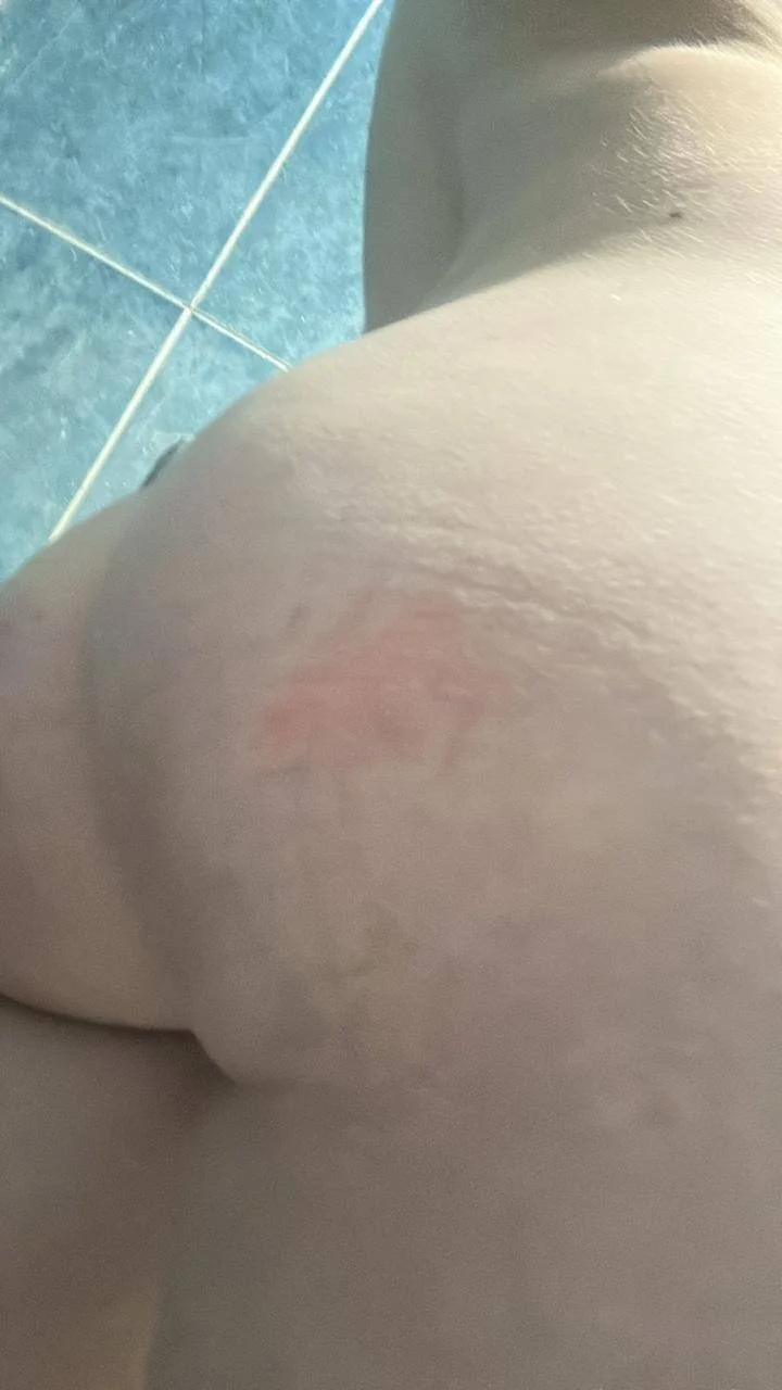VIVI LA PUTA DE TODOS image 10