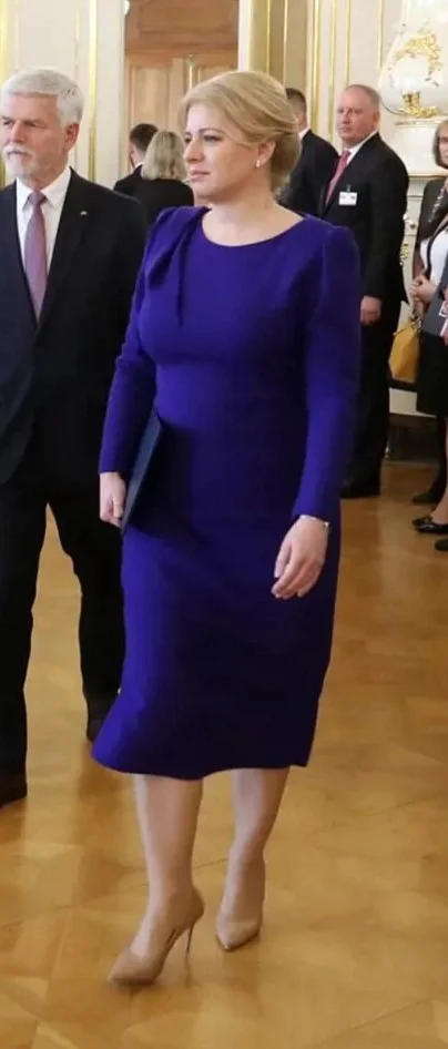 Thicc milf Zuzana čaputova part 9 image 25