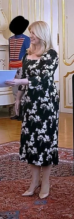 Thicc milf Zuzana čaputova part 9 image 41