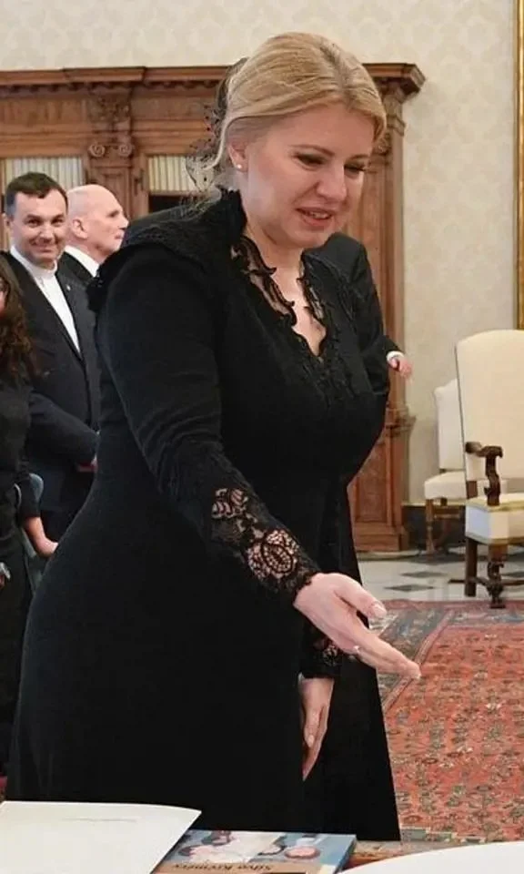 Thicc milf Zuzana čaputova part 9 image 9