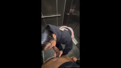 Freaky fat ass asian fucking in public elevator cover image