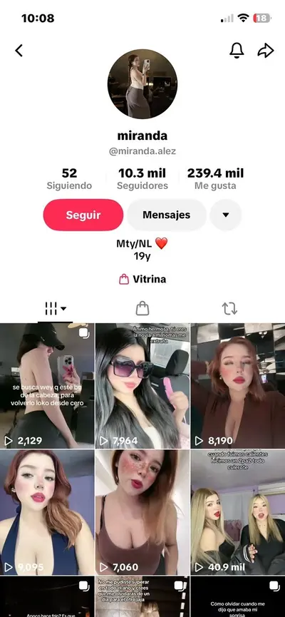 Puta De Miranda cover image