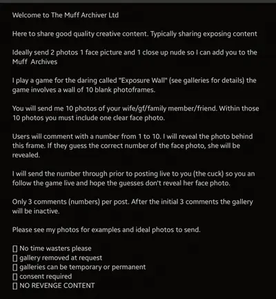 Exposing websluts (exposurewall) cover image