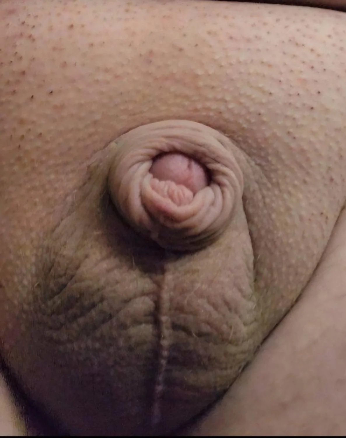 Pics of my tiny limp worthless dick aka my limp clitty 🤭🙈 image 11