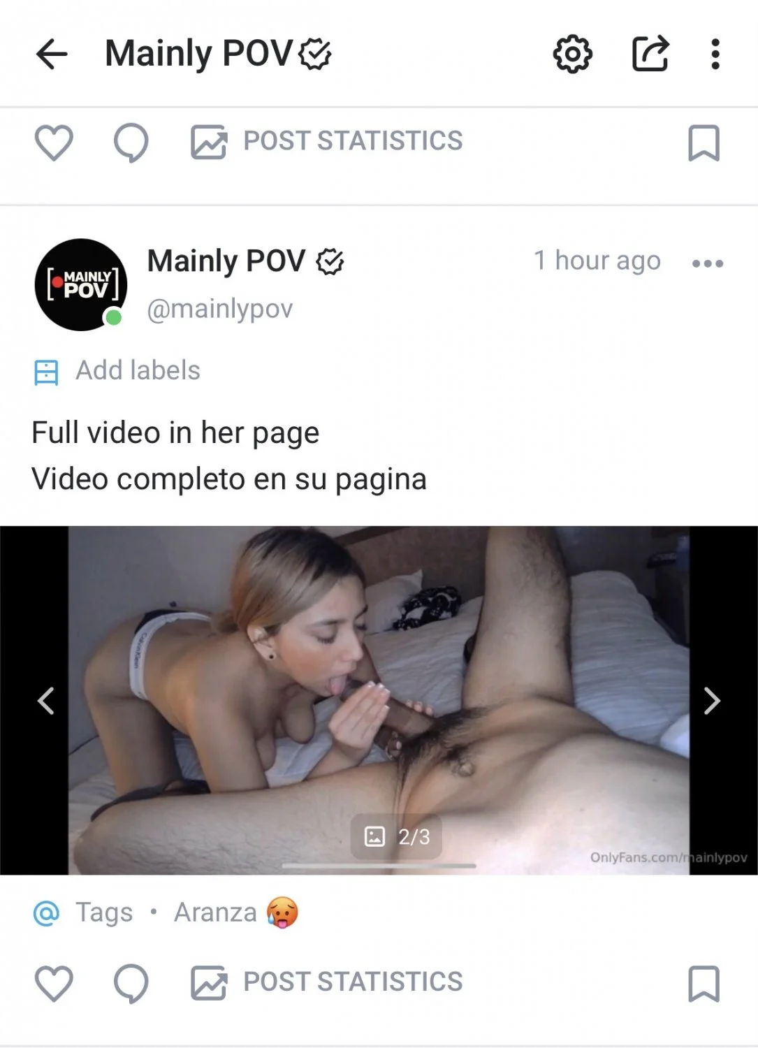 Aranzita image 4