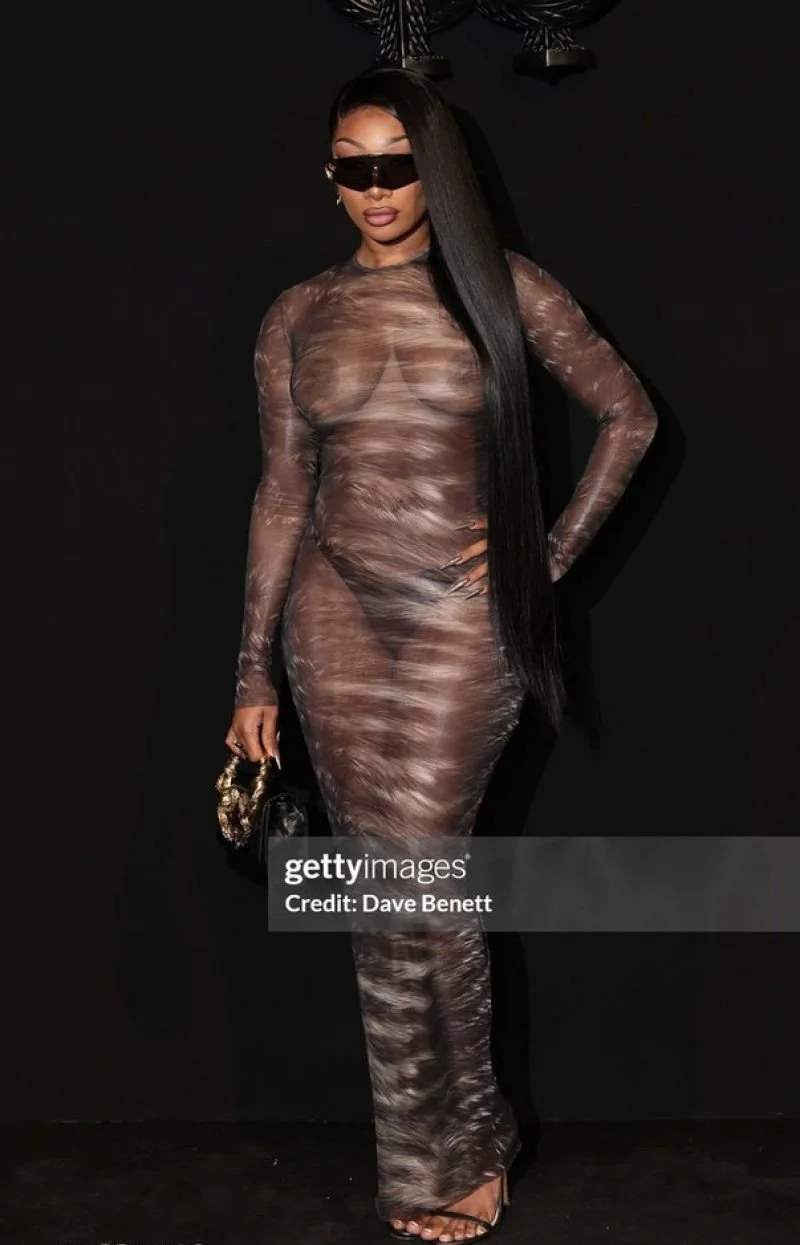 Black bitch meg tha stallion image 2