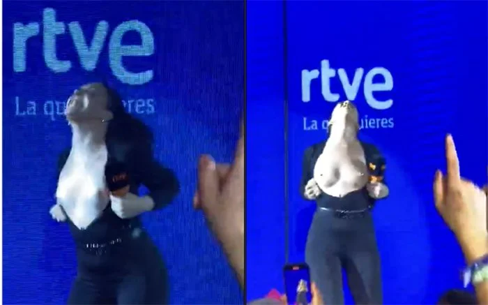 Spanish TV Presenter Inés Hernand Shows Her Tits main image