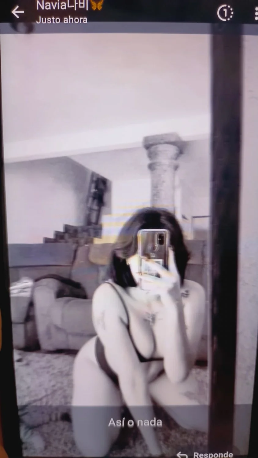 La putita de Saryd image 20