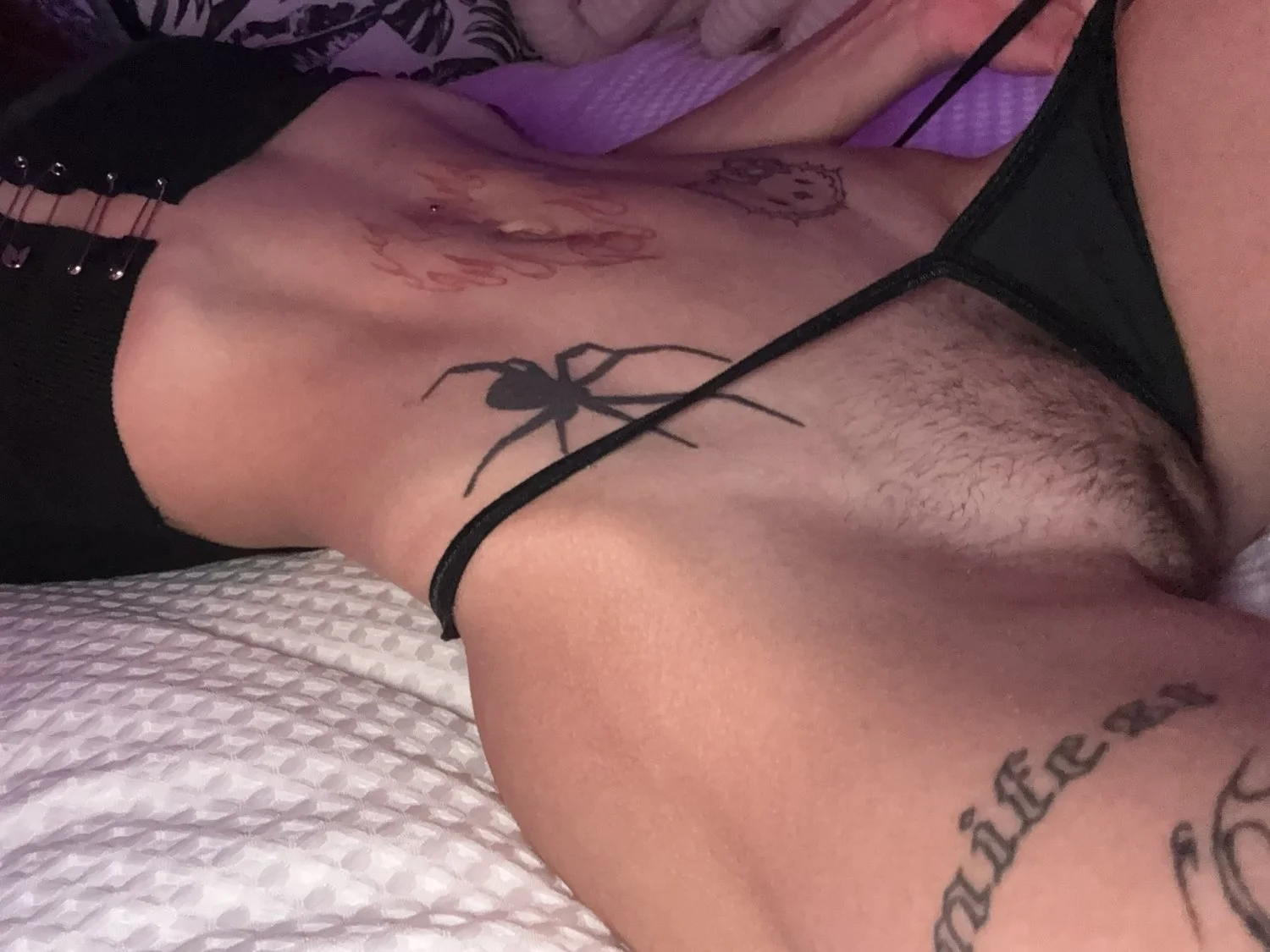 Ellex image 22