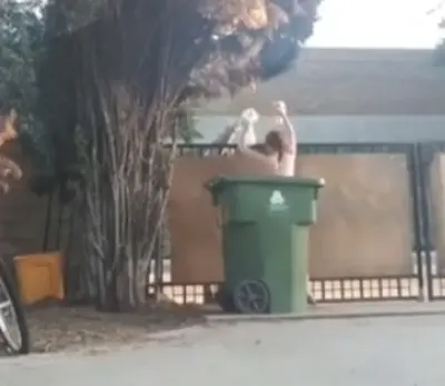 Picked Her Door Dash Up Naked Outside 😅 cover image