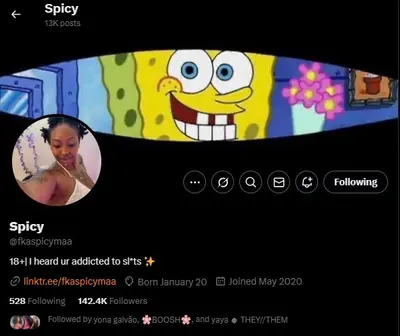 Spicy Ebony cover image