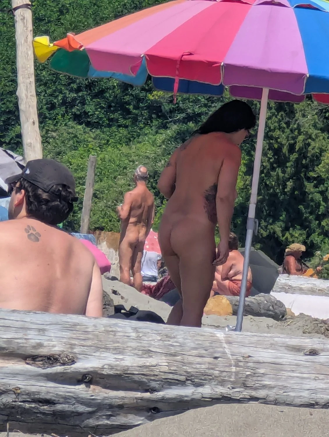 Nude beach party 2 image 12