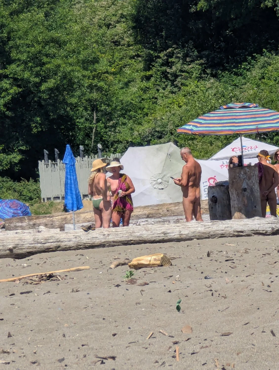 Nude beach party 2 image 21