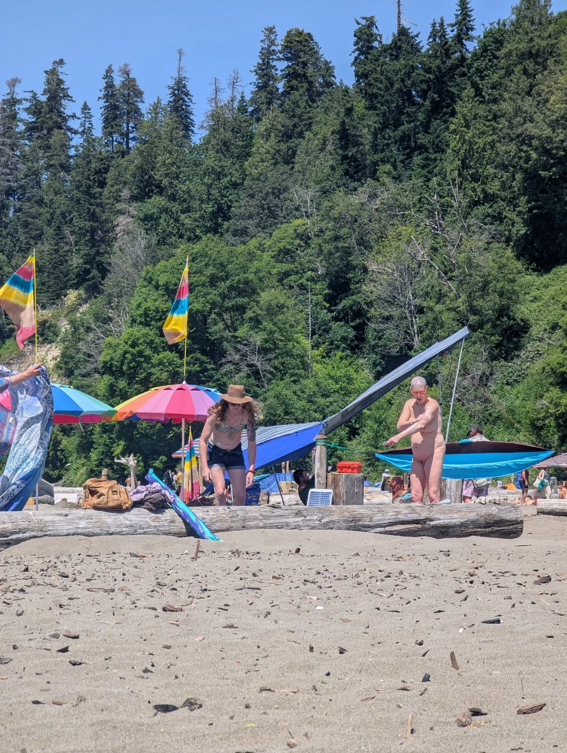 Nude beach party 2 image 22