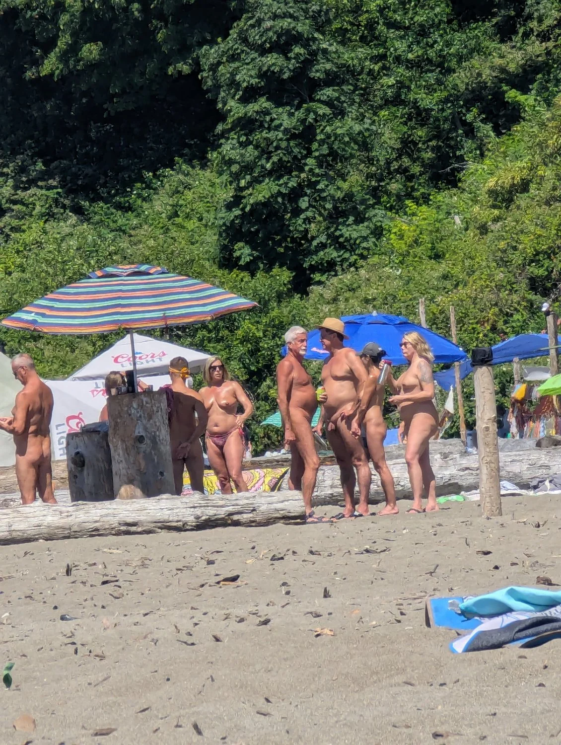 Nude beach party 2 image 23
