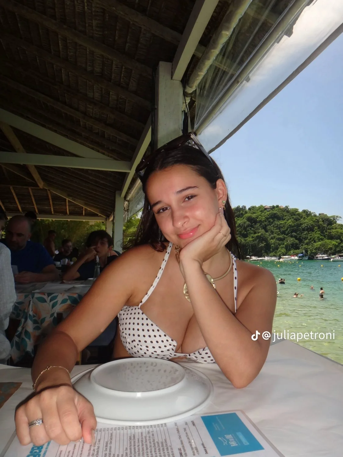 Petroni image 2
