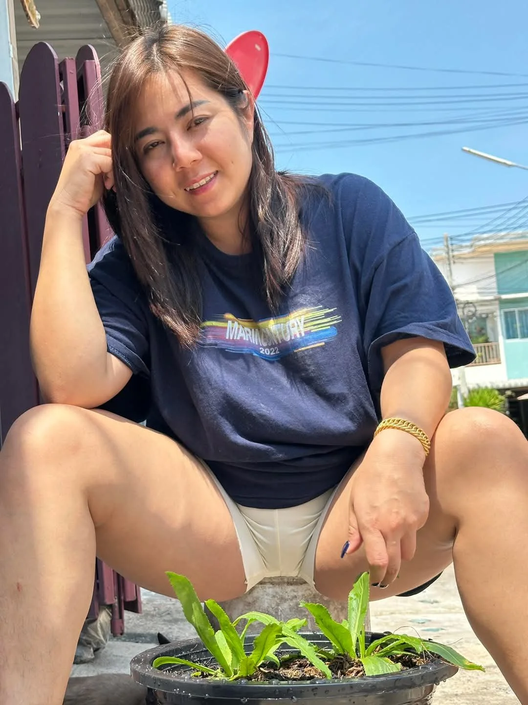 🖼️ image 47
