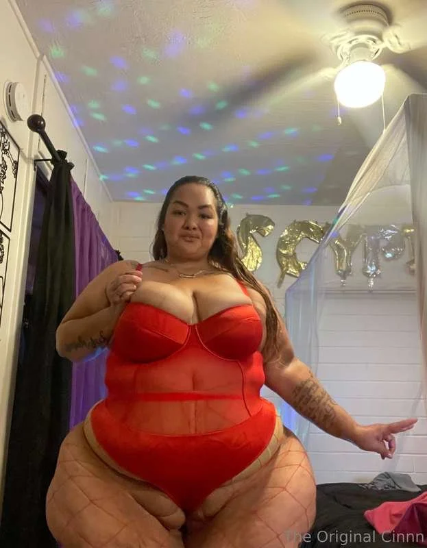 Superstar SSBBW IV main image