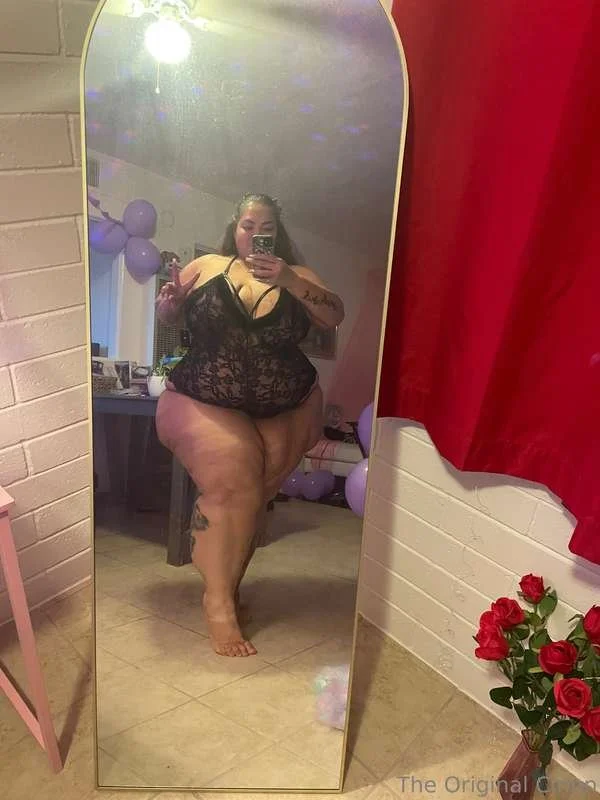 Superstar SSBBW IV image 11