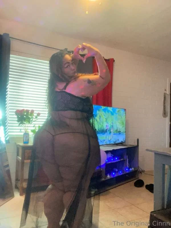 Superstar SSBBW IV image 19