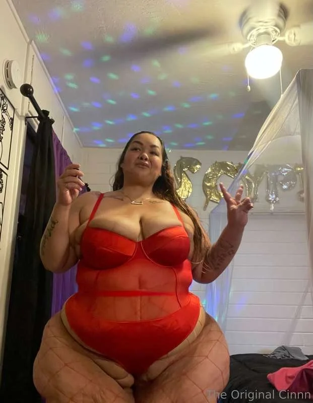 Superstar SSBBW IV image 5