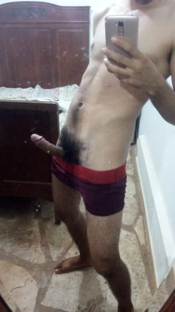trans pau bonito image 3