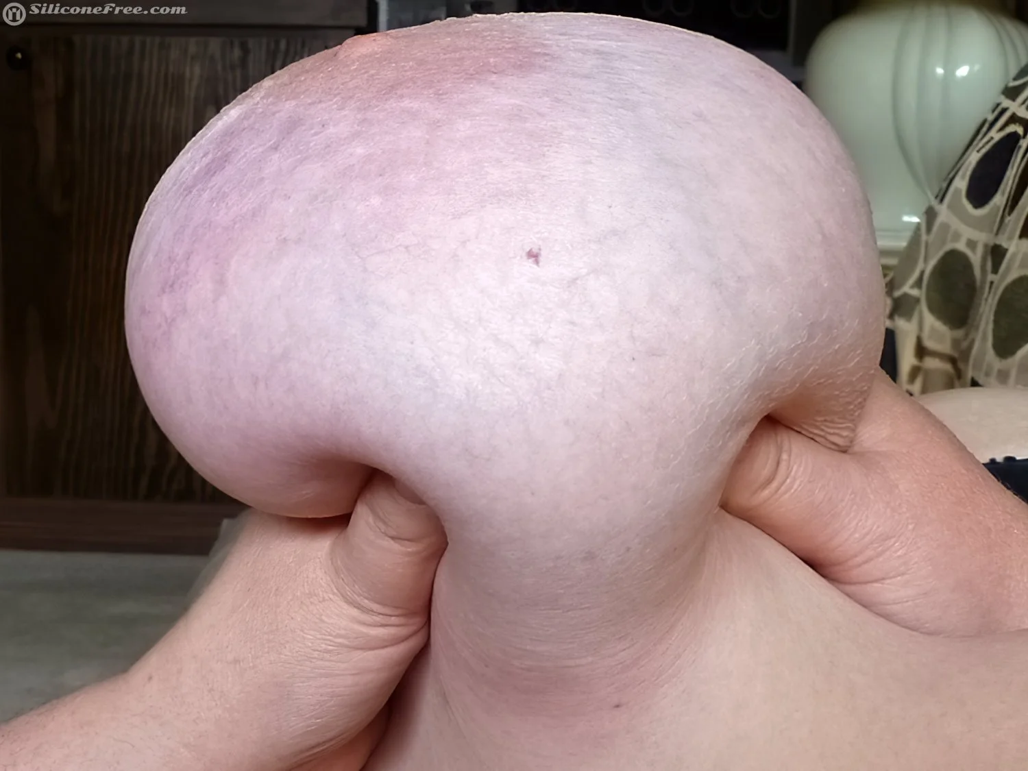 Boobiana image 13