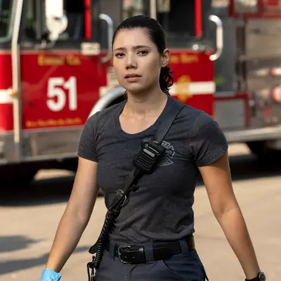 Chicago fire ( violet ) cover image