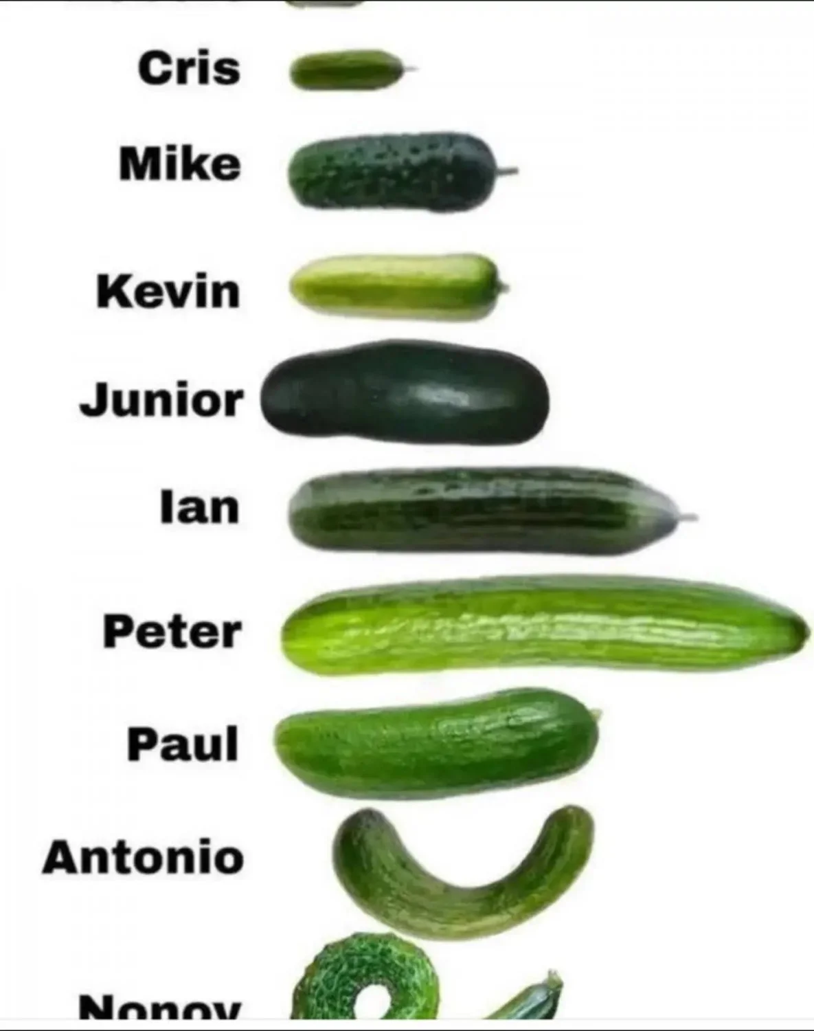 Ladies, who you picking? main image