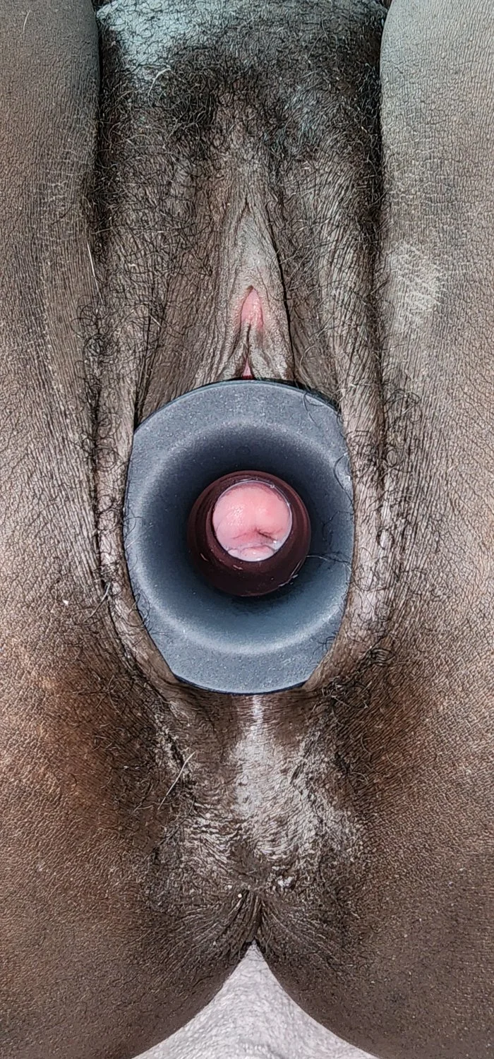 Ebony pig from florida image 9