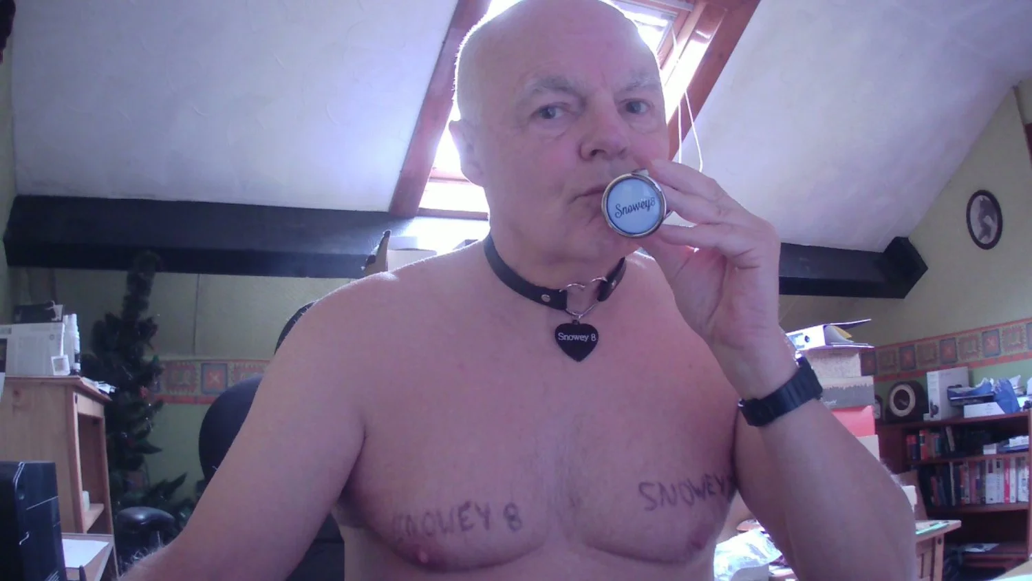 Collared and Tattooed for Snowy main image