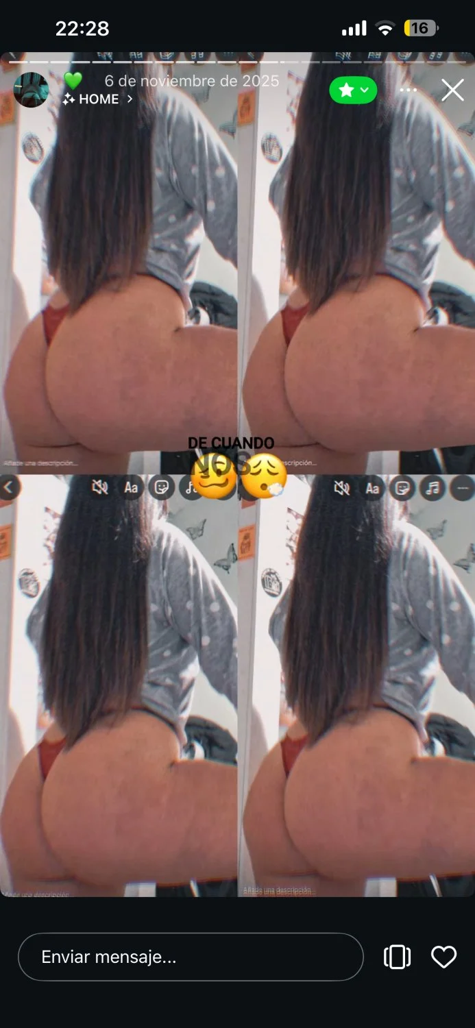 Perrita de instagram image 17