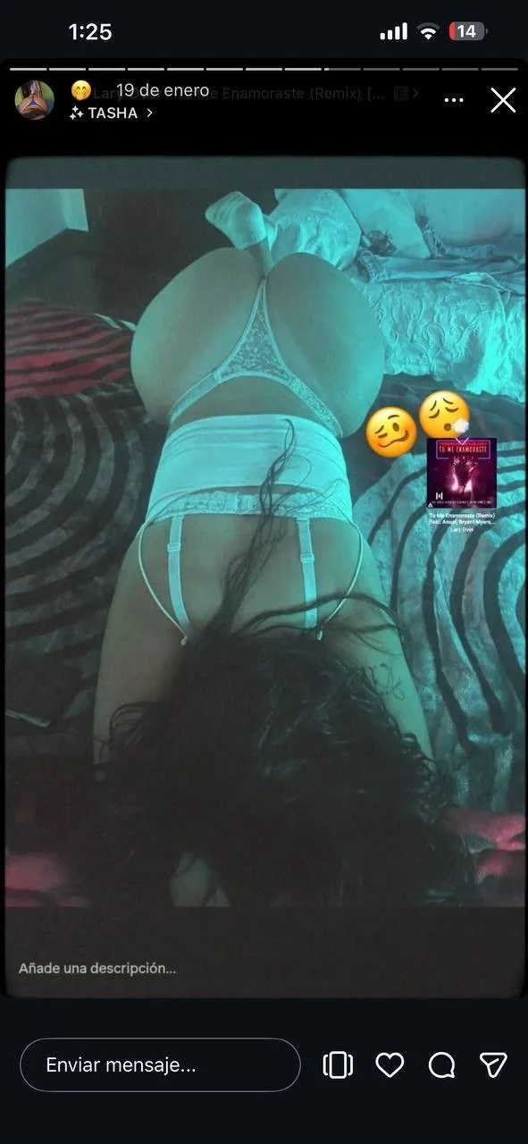 Perrita de instagram image 6