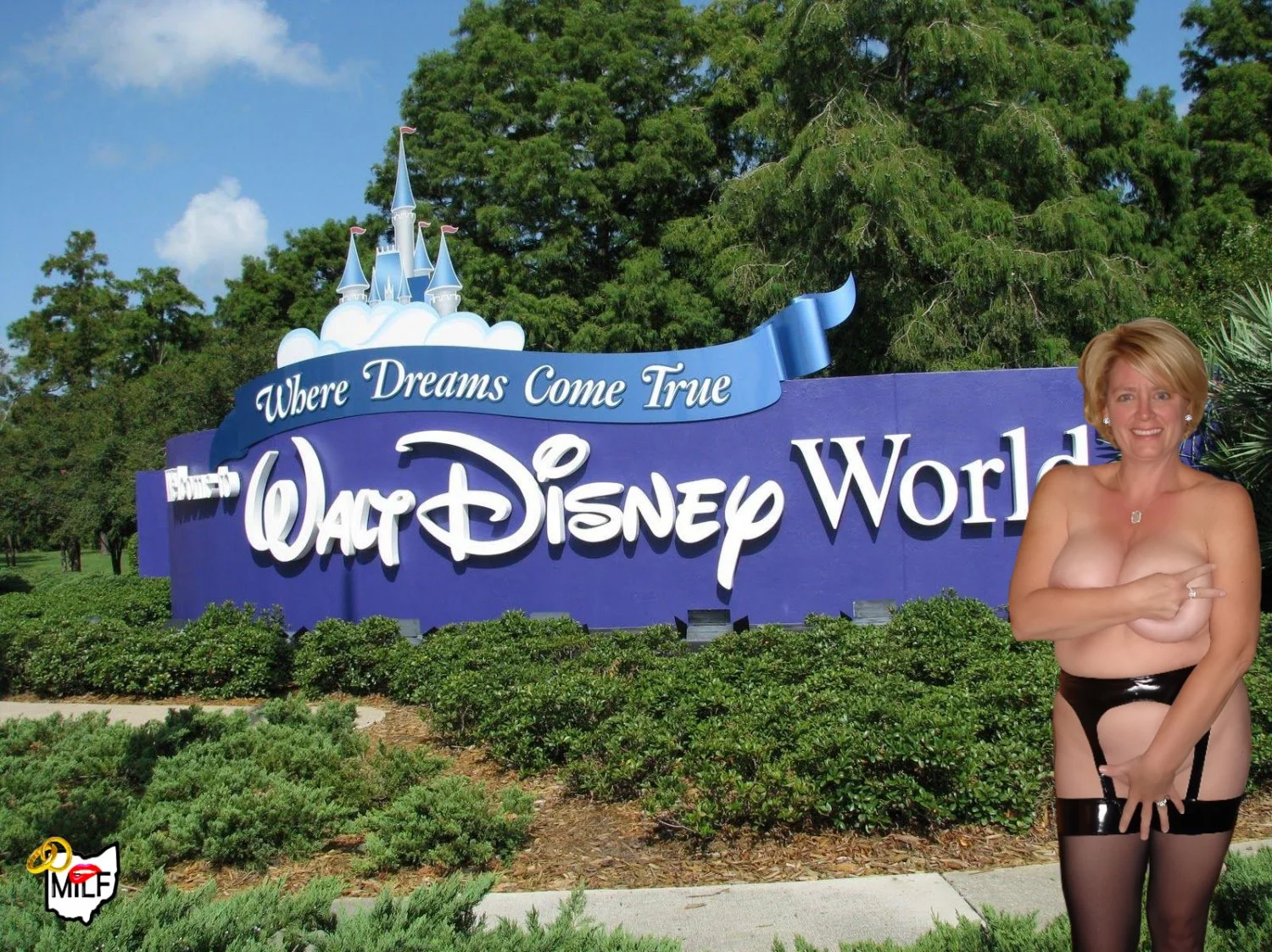 Ohio MILF Captions, Vol 3 image 8