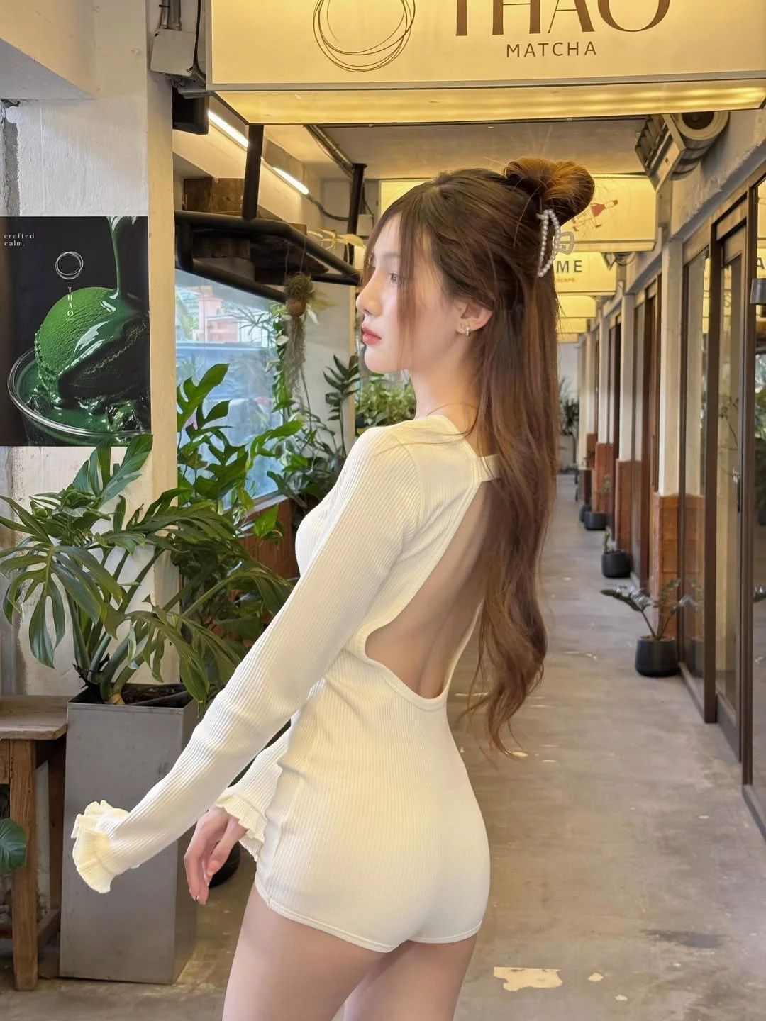ใบเฟิร์น image 7