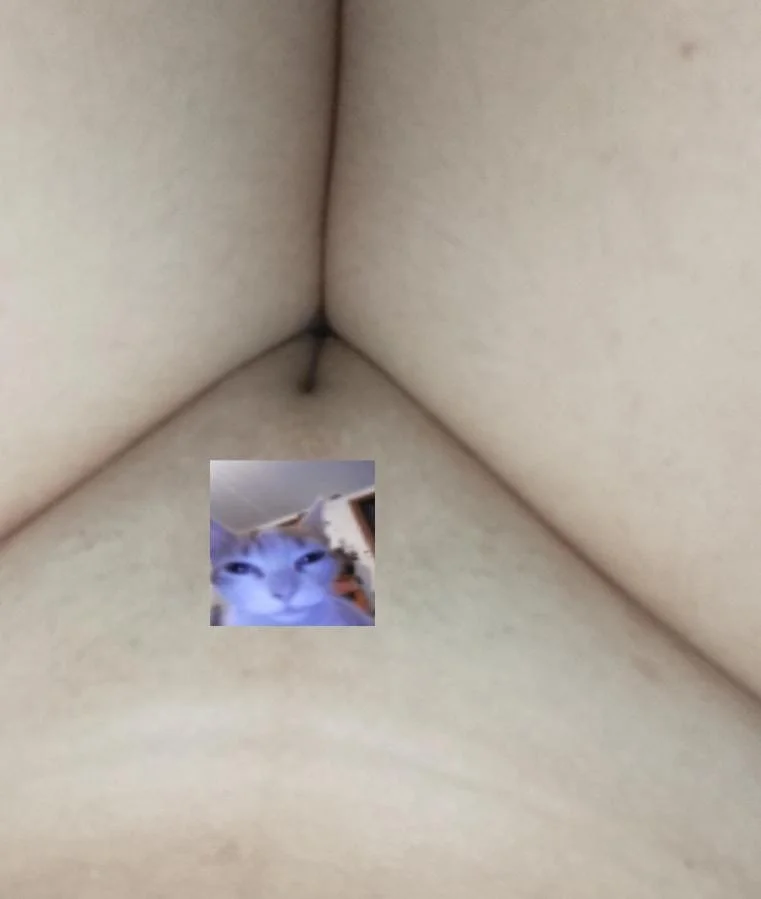 Ingrid putinha vazada pelo ex pt.1 image 5