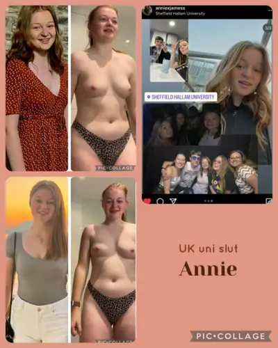 UK Teacher Annie cover image