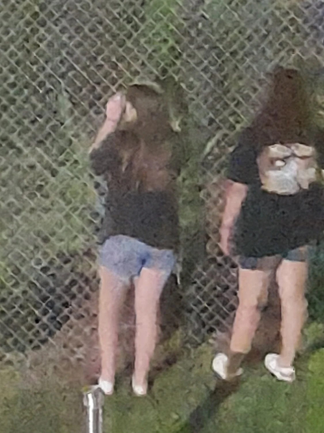 QLD image 5