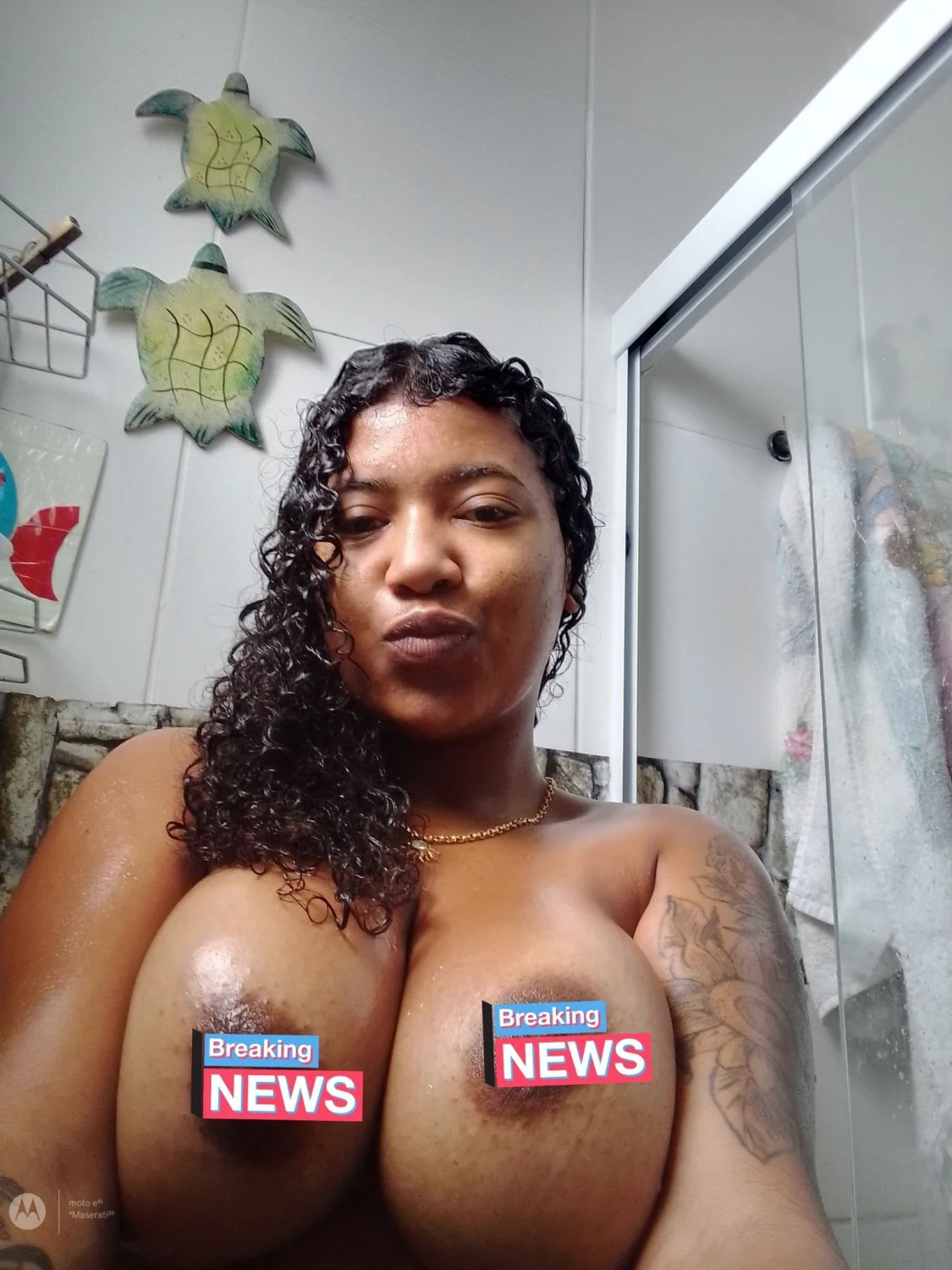 Gordelicia peitão image 11