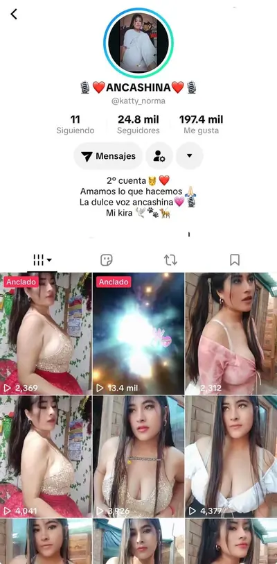 katty laguna, chola peruana tetona. cover image